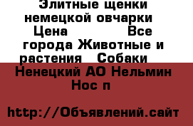 Элитные щенки немецкой овчарки › Цена ­ 30 000 - Все города Животные и растения » Собаки   . Ненецкий АО,Нельмин Нос п.